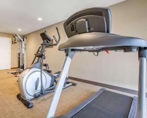 Hotel Avisa Downtown - Pets and Group Bookings