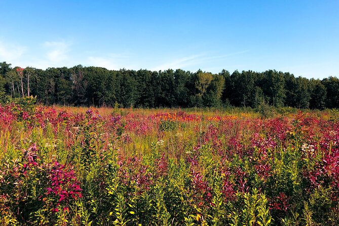 Indiana Dunes National Park With Audio Tour Guide - Customizable Tour Options