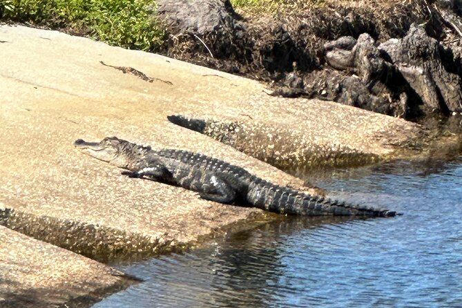 Kissimmee and St. Cloud Beach Tour on All Electric Trike (8 Hrs.) - Discovering St. Cloud Beach