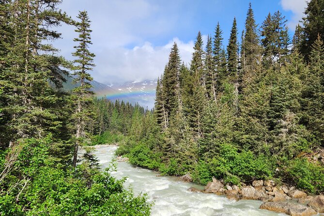 Laughton Glacier Hike and White Pass Rail Adventure - Exploring Laughton Glacier
