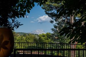 Le Pigonnet - Spirit of France - Frequently Asked Questions