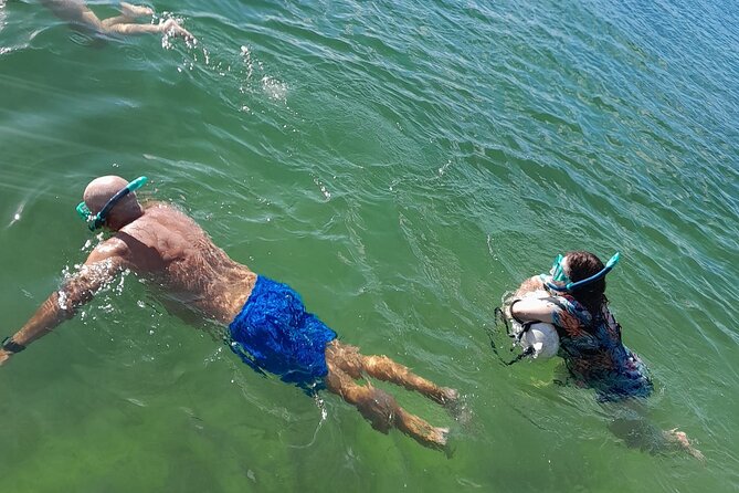 Miami: Snorkeling for Beginners Private Tour - Safety Precautions