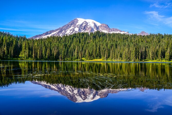 Mount Rainier National Park Tour From Seattle - Why Choose a Private Tour Experience