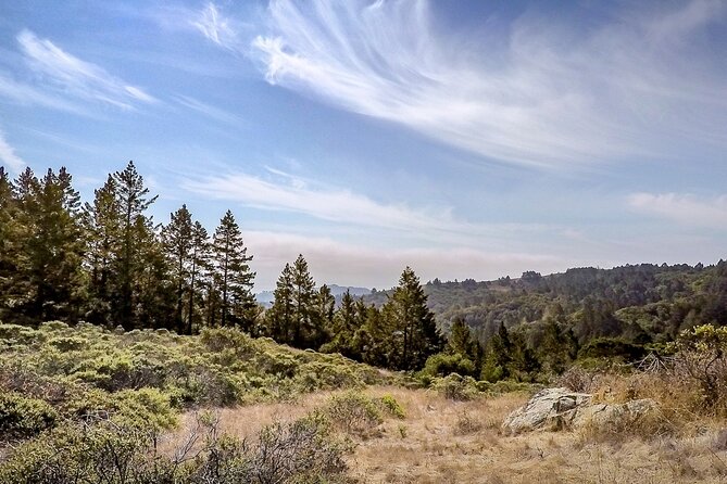 Muir Woods Self-Guided Driving and Walking Audio Tour - Tips for Maximizing Your Experience