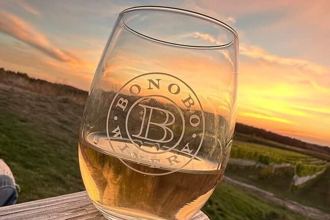 NON BUS Traverse City Old Mission Peninsula Private Wine Tour - Health and Accessibility Considerations