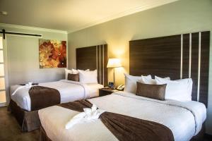 Palm Garden Hotel - Preparing for Your Stay