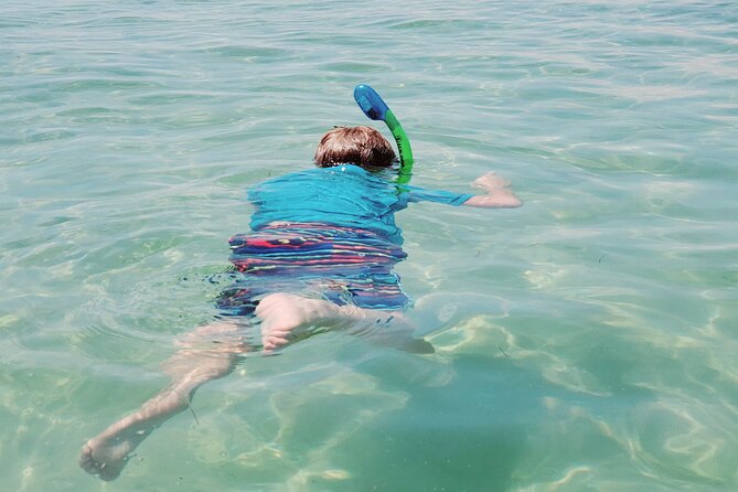 Private Catamaran: Snorkel, Swim and Dolphin Watching - What to Bring