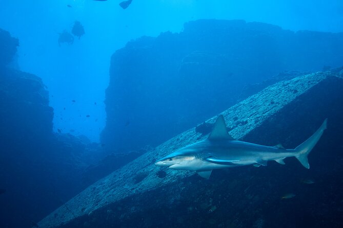 Private Niihau Scuba Charter With 2 or 3 Tank Dive Option - What to Bring and Wear