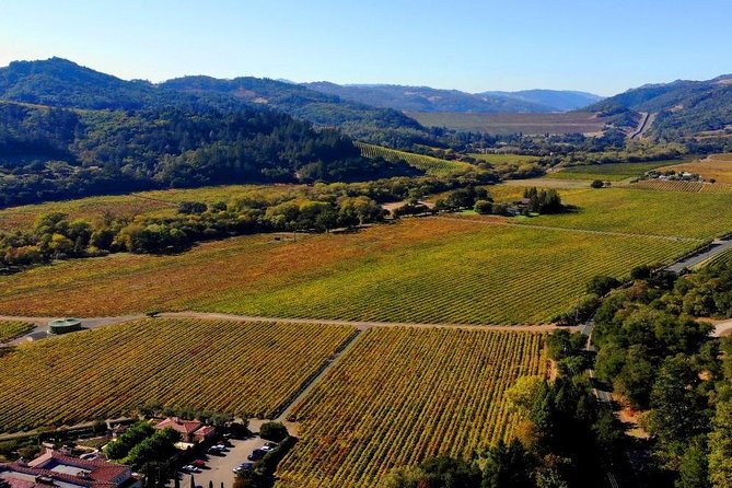 Private Russian River Day Trip From San Francisco: Redwoods and Wine Country - Discovering the Redwood State Park