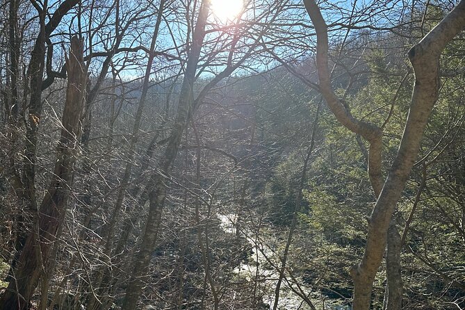 Private Trout Fishing Excursion in Virginia - The Sum Up