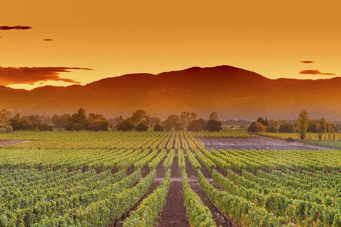 San Francisco Airport Private Transfer to Napa Valley - Benefits of Private Transfer