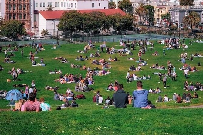 San Francisco Half Day Private Car Tour With A Guide (Car Tour) - Why Choose a Private Car Tour?