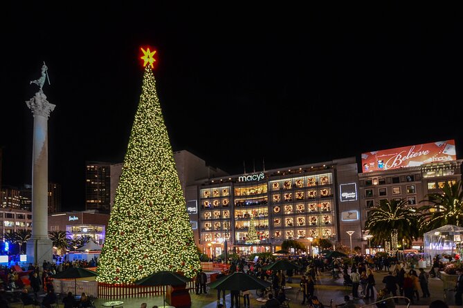 San Francisco Private Group Holiday Lights Tour - Up to 6 Guests - Accessibility