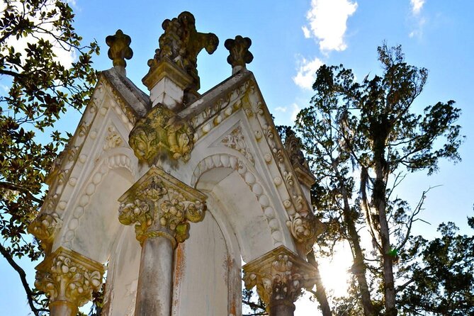 Savannah Haunted and Historical Walking Tour - Special Offers and Pricing