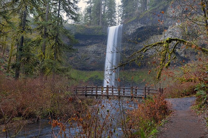 Silver Falls Private Hike Tour - What to Expect