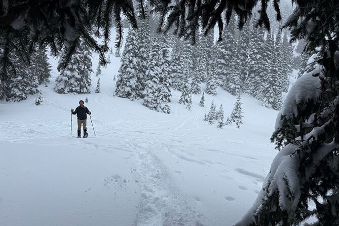 Snowshoeing at Crystal Mountain by Mount Rainier - Ensuring Safety and Comfort