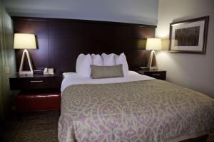 Sonesta ES Suites Sunnyvale - Child and Pet Policies