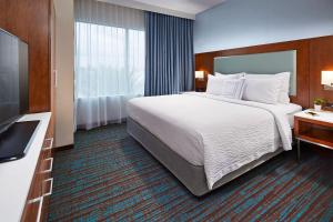 SpringHill Suites by Marriott at Anaheim Resort Area/Convention Center - Additional Services