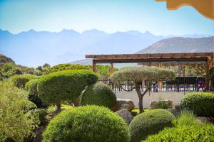 The Calvi Villa - Booking and Reservation Details