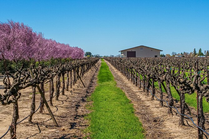 Wine Tasting Audio Tour - Lodi California - Wheelchair and Stroller Accessibility