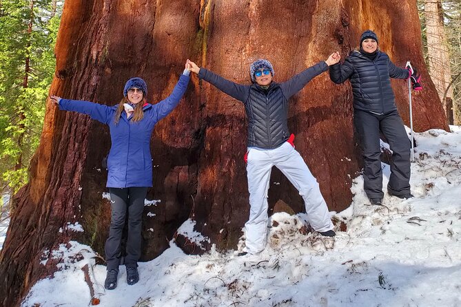 Yosemite National Park Private 1 Day Tour From San Francisco - What to Expect on the Tour