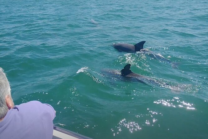 2-hour Private Boat Tour in Clearwater Florida - Price and Cancellation Policy