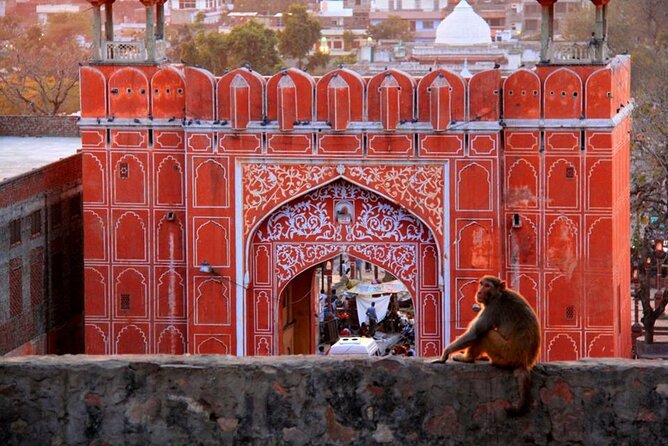 7 Days India Tour From New York Including Visa and Flight - Itinerary Highlights