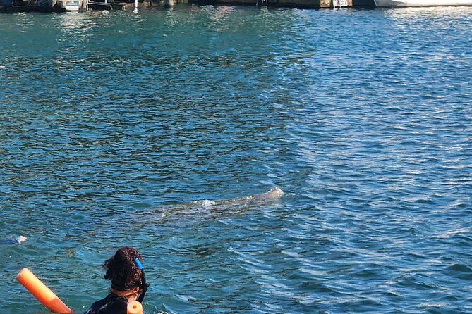 Afternoon Crystal River Ecological Boat Tour - Frequently Asked Questions