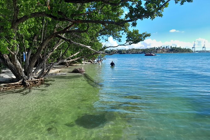 Bayside Market Place Snorkeling for Beginners - Sum Up