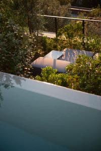 C-Hotel & Spa - Local Attractions and Activities
