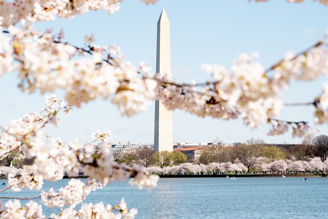 Cherry Blossom Private Bus Tour of Washington DC - Why Choose a Private Tour
