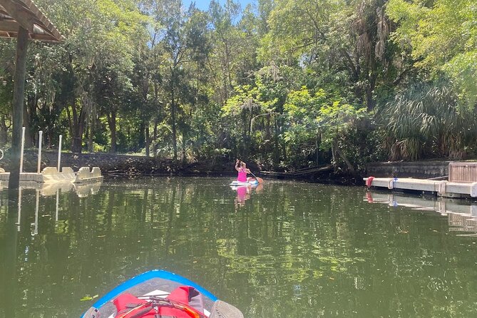 Crystal River Reserve State Park Electric Paddleboard Rentals - Tips for Maximizing Your Adventure