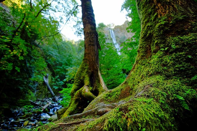 E-bike in Oregon's Columbia River Gorges - Booking and Cancellation Policy