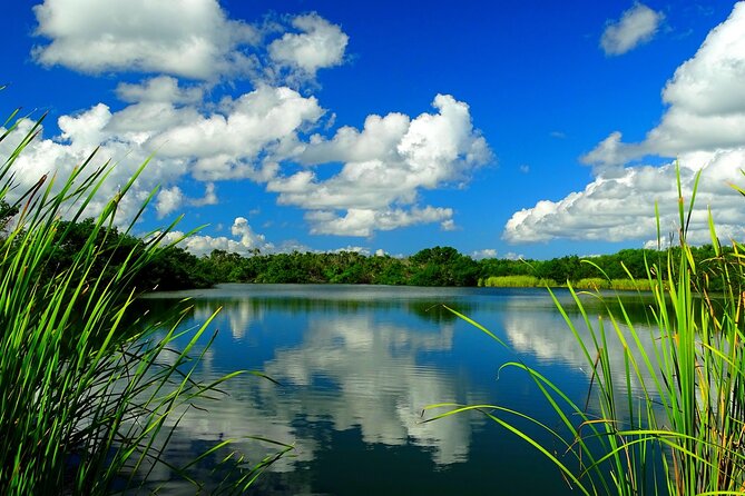 Everglades National Park Audio Tour Guide - Cancellation and Flexibility