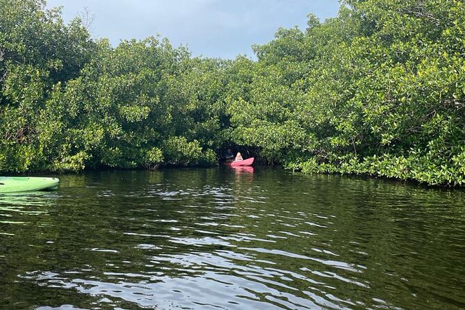 Full Day Everglades Combo Motorboat Eco and Kayak Tour - Additional Information