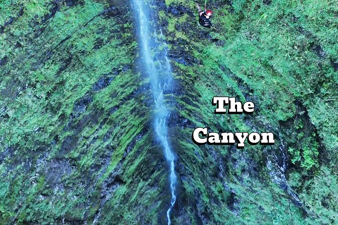 Hawaii Oahu Canyon Rappel & Hike Expedition Tour - Stunning Oahu Scenery