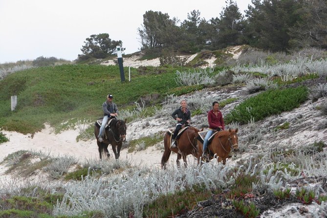 Horseback Ride on the Beach & Alcatraz Tour in San Francisco - Highlights and Recommendations