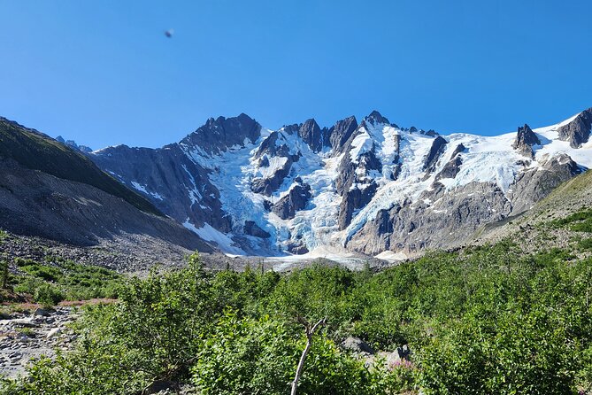 Laughton Glacier Hike and White Pass Rail Adventure - Riding the White Pass Rail