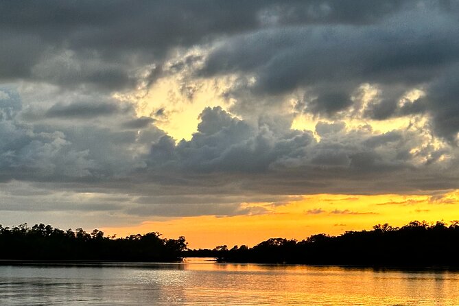 Mangrove and Gulf Excursion Tour - What to Expect on the Tour