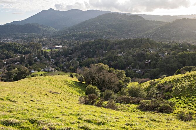 Muir Woods Self-Guided Driving and Walking Audio Tour - Sum Up