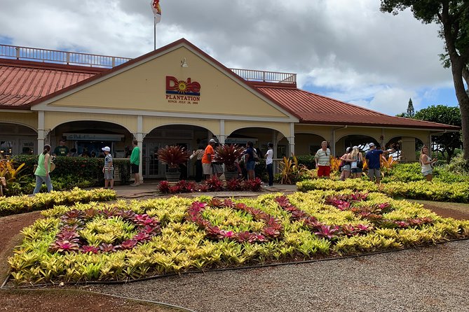 Oahu Tour - Pearl Harbor, Dole Pineapple & Oahu Tour - Important Information for Travelers