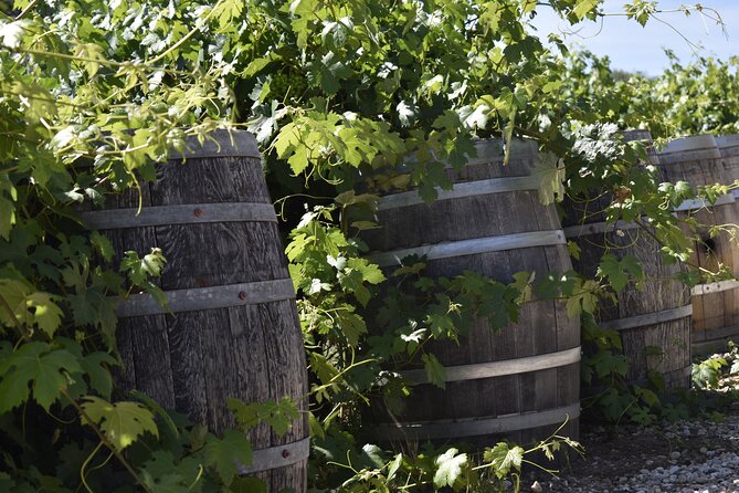 Private, Customized Sonoma Valley Wine Tour - What to Expect
