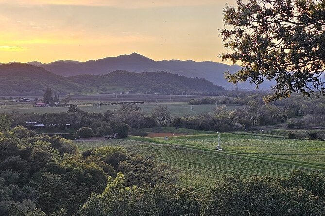 Private Group Wine Tour of Napa Valley - Planning Your Perfect Napa Valley Day