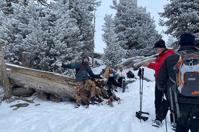Self Guided Snowshoe Experience at Lake Tahoe - Sum Up