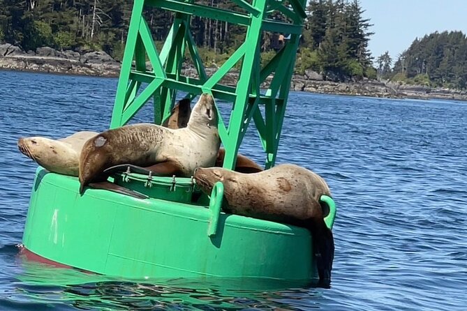 Sitka'S Private Wildlife Whale Adventure for 6 W/Transportation - Sum Up
