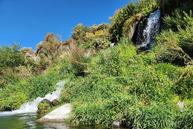 Snake River Rafting - Tour Accessibility and Restrictions