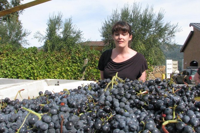 Top Notch Napa Valley Private Custom Tour - Customizing Your Private Tour