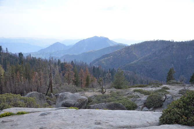2 Days Private Tour to Sequoia and Kings Canyon Parks From LA - Day 2: Discovering Kings Canyon National Park