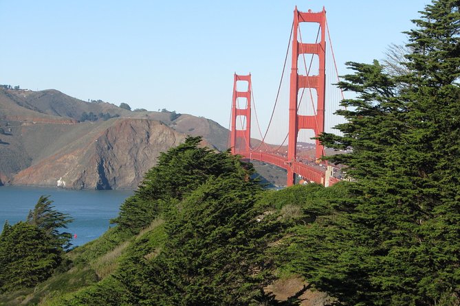 Best Private Custom Half-Day City Tour of San Francisco - Exploring Pacific Heights