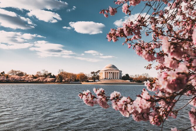 Cherry Blossom Private Bus Tour of Washington DC - Sum Up
